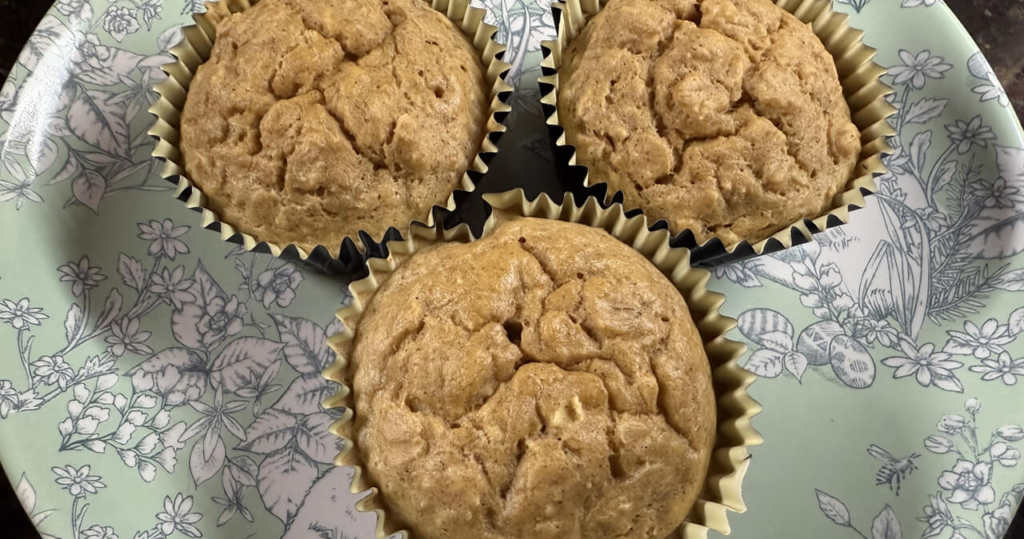 oatmeal protein muffins
