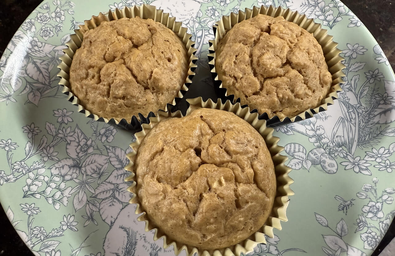 oatmeal protein muffins
